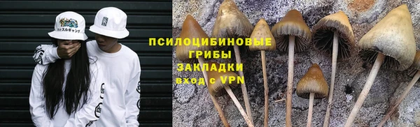дживик Армянск