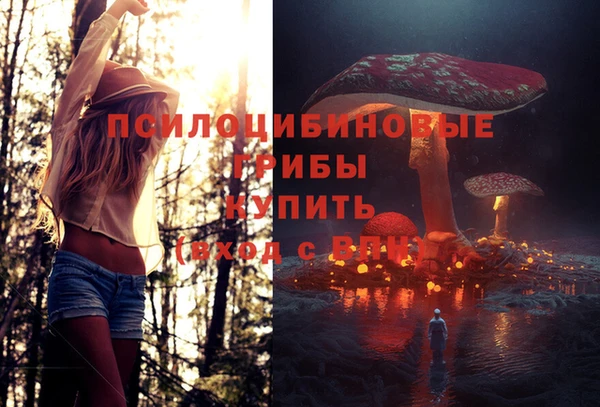 героин Арсеньев